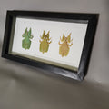 Leaf Insect Collection