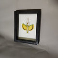Yellow Banded Stick Insect | Framed Preserved Specimen | Gothic Wall Art
