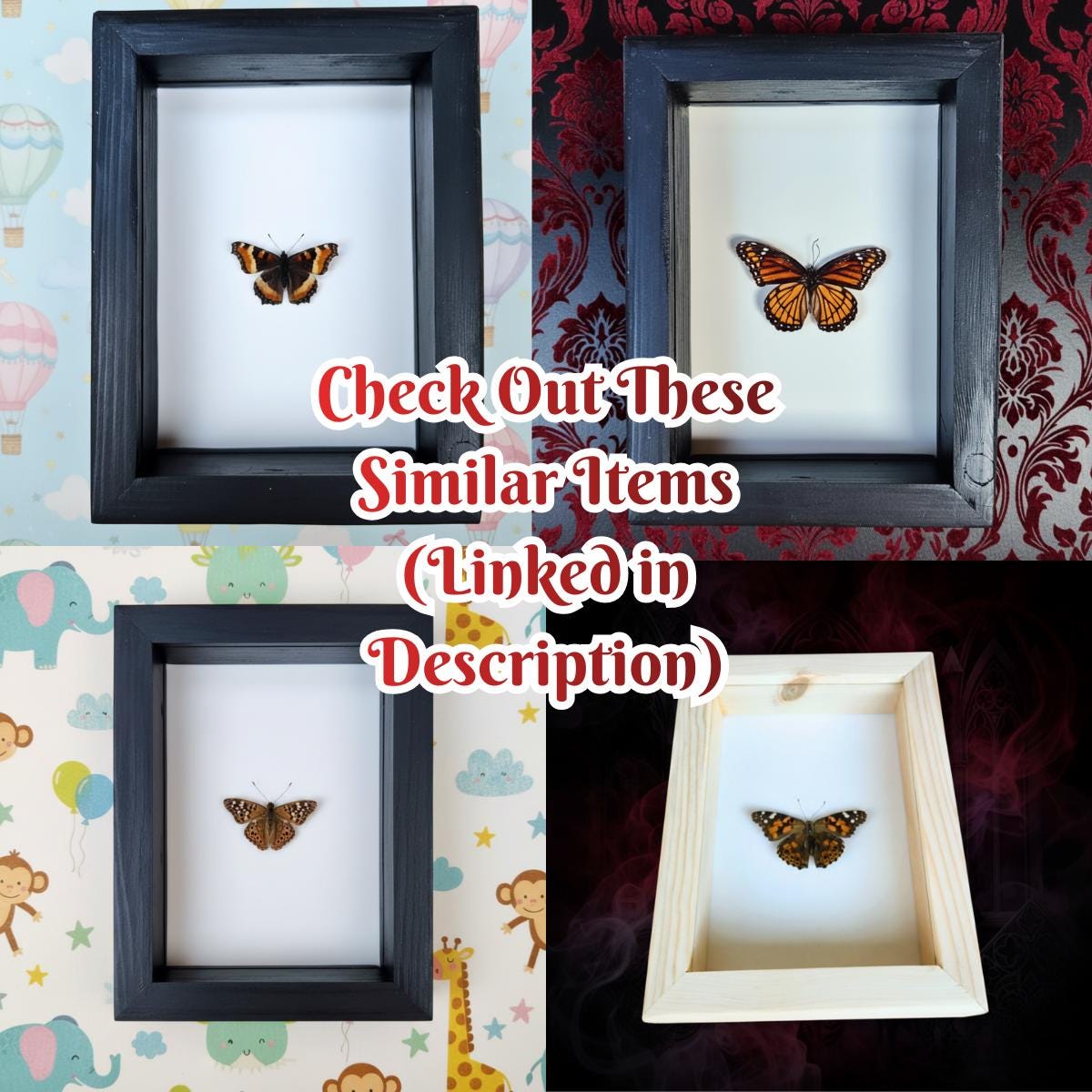 Real California Tortoiseshell Butterfly