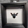 Blue carpenter bee